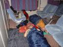 zuby umyt� a m��eme �s� spa�