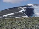 st�do sobov pod Snohettou